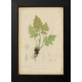 thumbnail image 2 of PI Collection 17x24 Black Modern Framed Museum Art Print Titled - Roots, 2 of 5
