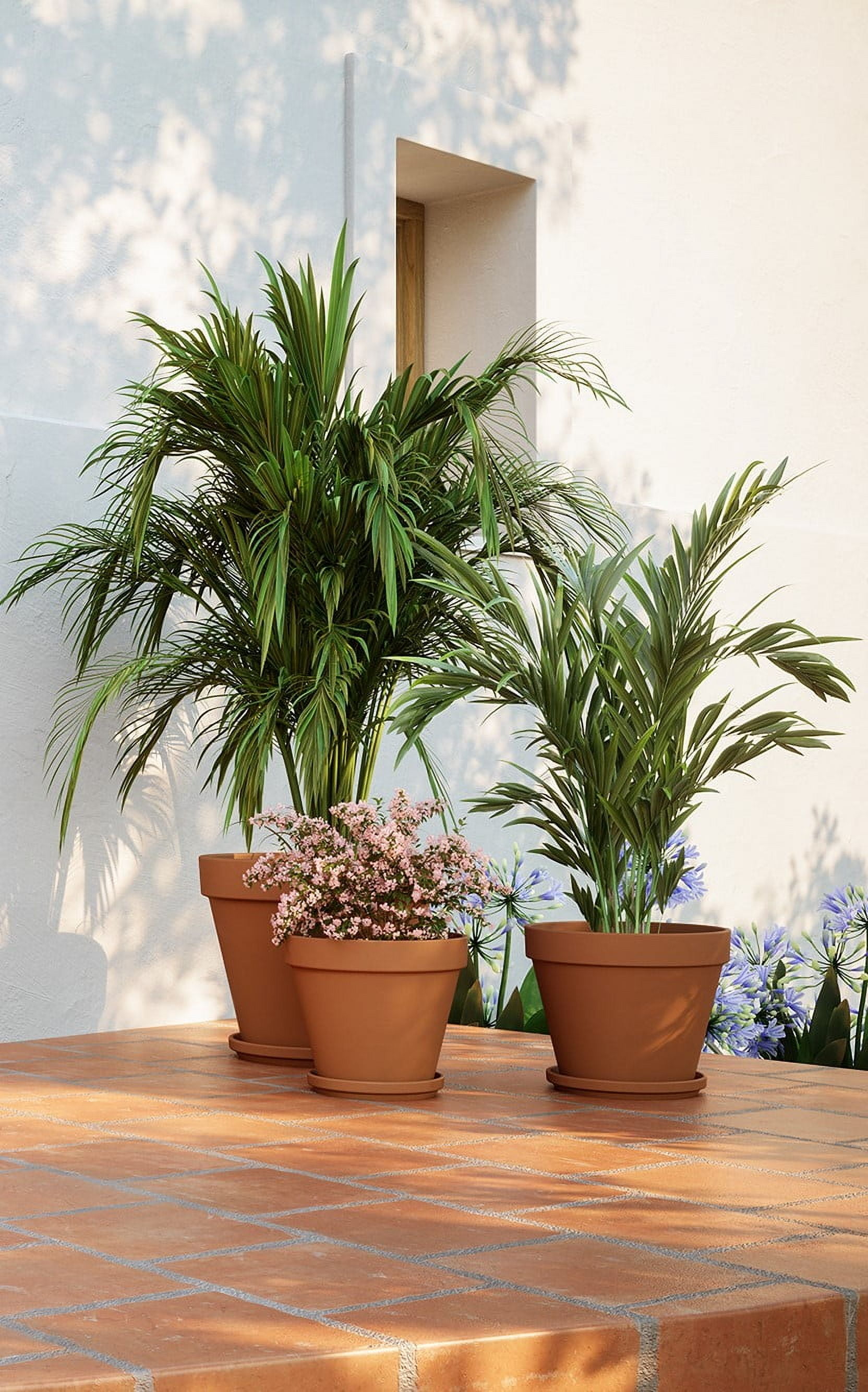 Artevasi 6 inch Round Terracotta Clay Pot with Drainage Hole To Prevent Over Watering