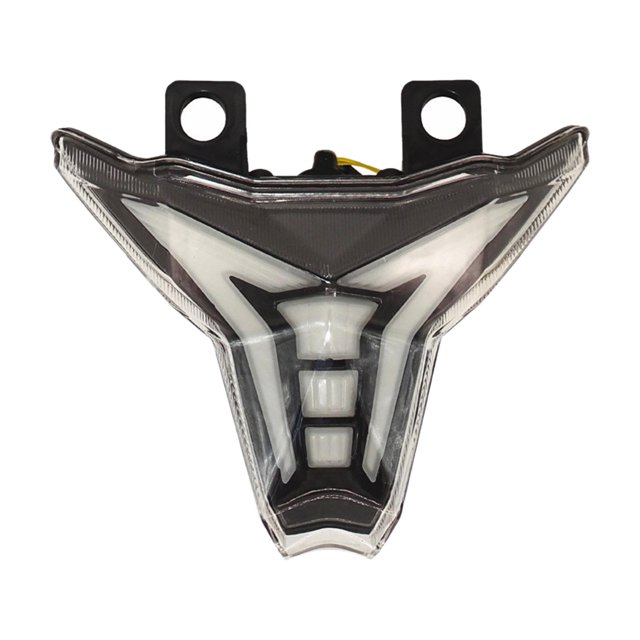 DYNWAVECA LED Brake Taillight Turn Lamp,Turn Lamp Rear Light Motorcycle Tail Lamp,Rear Lamp for 250 2018+ Night Riding Clear