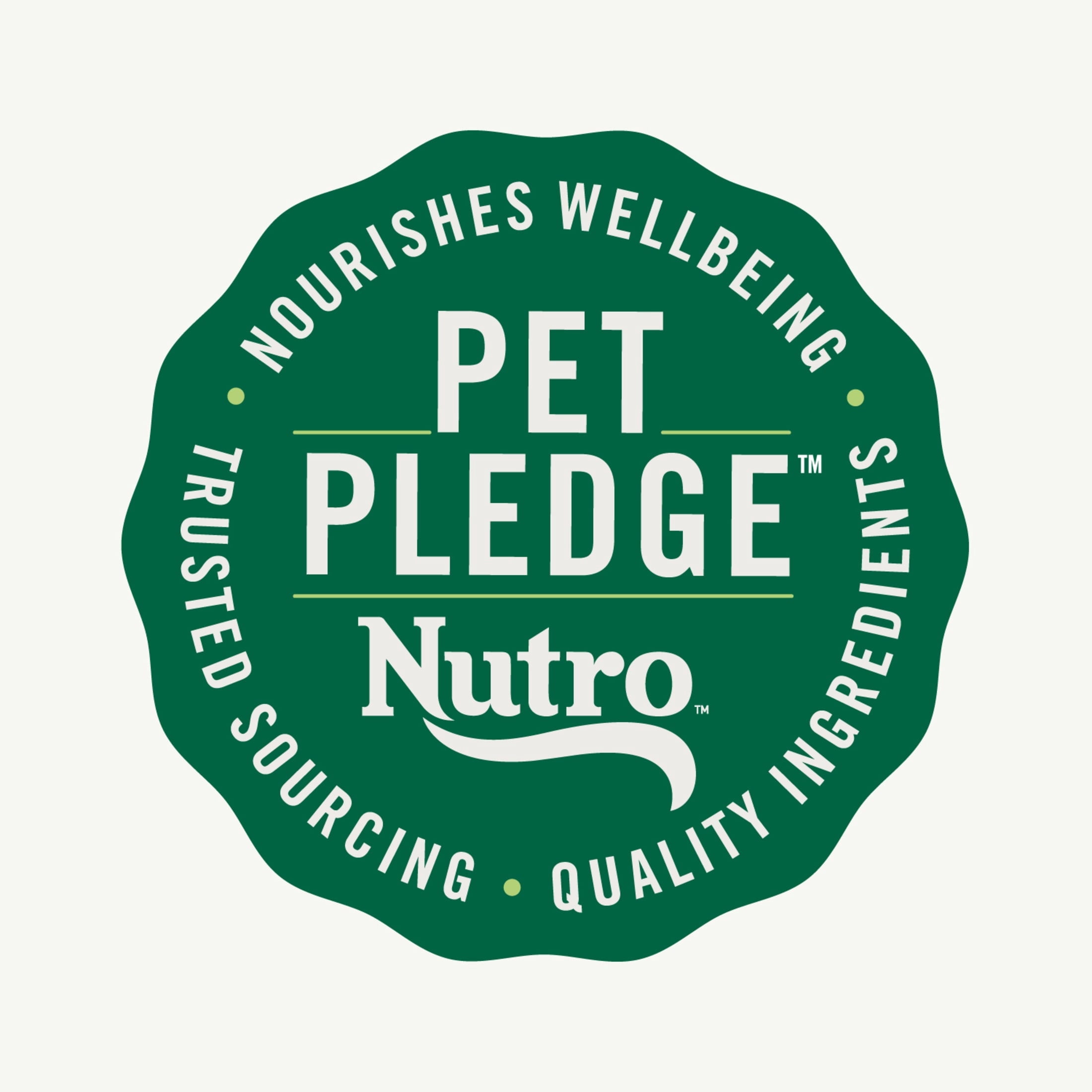 Nutro Natural Choice Adult Dry Dog Food, Chicken And Brown Rice Recipe 13 Lbs.
