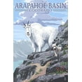 thumbnail image 1 of Arapahoe Basin, Colorado, Mountain Goat and Kid (12x18 Wall Art Poster, Room Decor), 1 of 3
