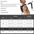 thumbnail image 2 of Cinturón de seguridad para perros VavoPaw, arnés de seguridad para coche, nailon, negro, XL, 2 of 6