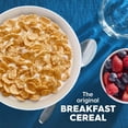 thumbnail image 2 of Kellogg's Special K Original Breakfast Cereal, 0.6 oz Tub, 2 of 8