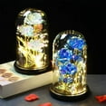 thumbnail image 7 of SLYNSHome Rose in Glass Dome Gifts for Mom Women Birthday Gift Forever Eternal Crystal Flower Light Up Roses for Grandma Wife Her Sister - Blue, 7 of 7