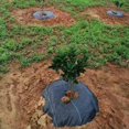 thumbnail image 3 of Bgsha 10pcs Garden Protection Mats Grass Control Tree Disc Mulch Mat with Ground Pegs, 3 of 10