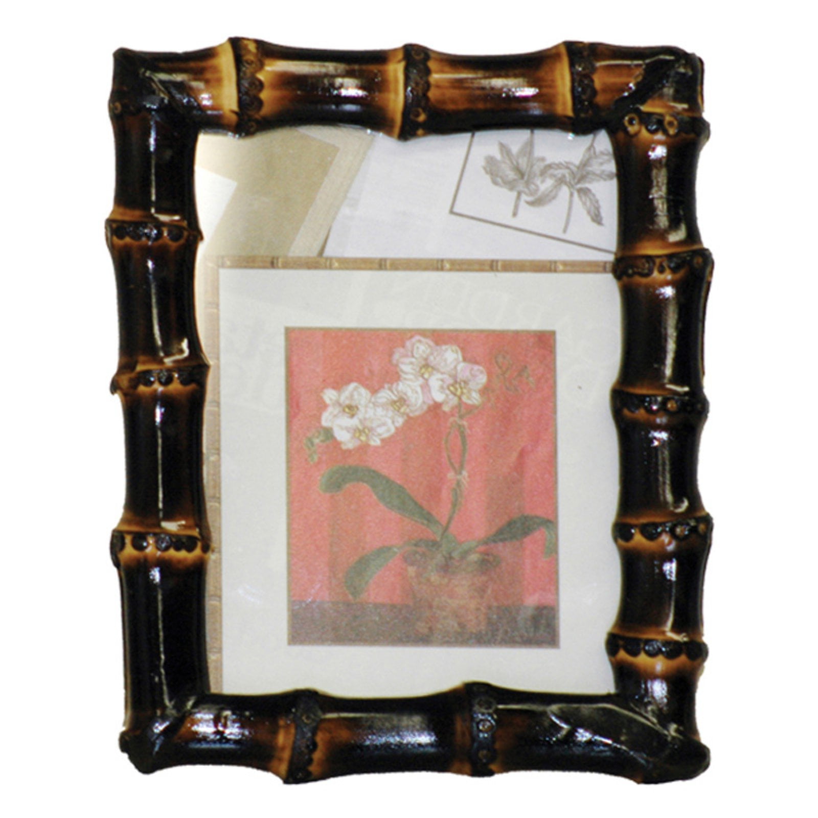 Bamboo54 Bamboo Root Natural Picture Frame