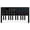 Black, variant on Compact 25-Key DJ Controller with Responsive Pads, Seamless Integration & ABS Texture