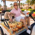 thumbnail image 3 of Golf Cart Seat Covers for 2 Seater,Orange Pumpkin Fall Microfiber Cart Seat Towel Blanket,Thanksgiving Maple Leave Farmhouse Absorbent Breathable NonSlip Bench Seats Protector for Golf Course 51"x31", 3 of 9