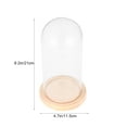 thumbnail image 4 of 9x15cm Glass Cloche Dome with Wood Base for Displaying Flowers and Collectibles, 4 of 5