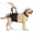 M (Waist:15.3''-20.8''), variant on Large Dog Rear Leg Support Harness, Mobility Lift Assist Sling for Elderly Injured or Paralyzed Dogs, Hind Leg Aid for Senior and Large Breed Dogs, XL