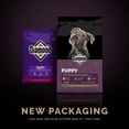 thumbnail image 3 of Combo Diamond Puppy Super Premium 9.07 Kg MAS Dos Latas Royal Canin Adulto 385 gr, 3 of 6