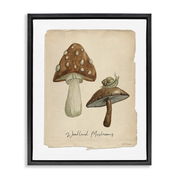 Stupell Industries Cottage Woodland Mushrooms & Snail Black Floating Frame Canvas Art, 17 x 21, by Carol Robinson