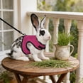 thumbnail image 5 of Rewenti Mesh Bunny Walking Set with Leash Breathable Bright and Attractive Color for Rabbits Weighing Approx 3Kg, 5 of 5