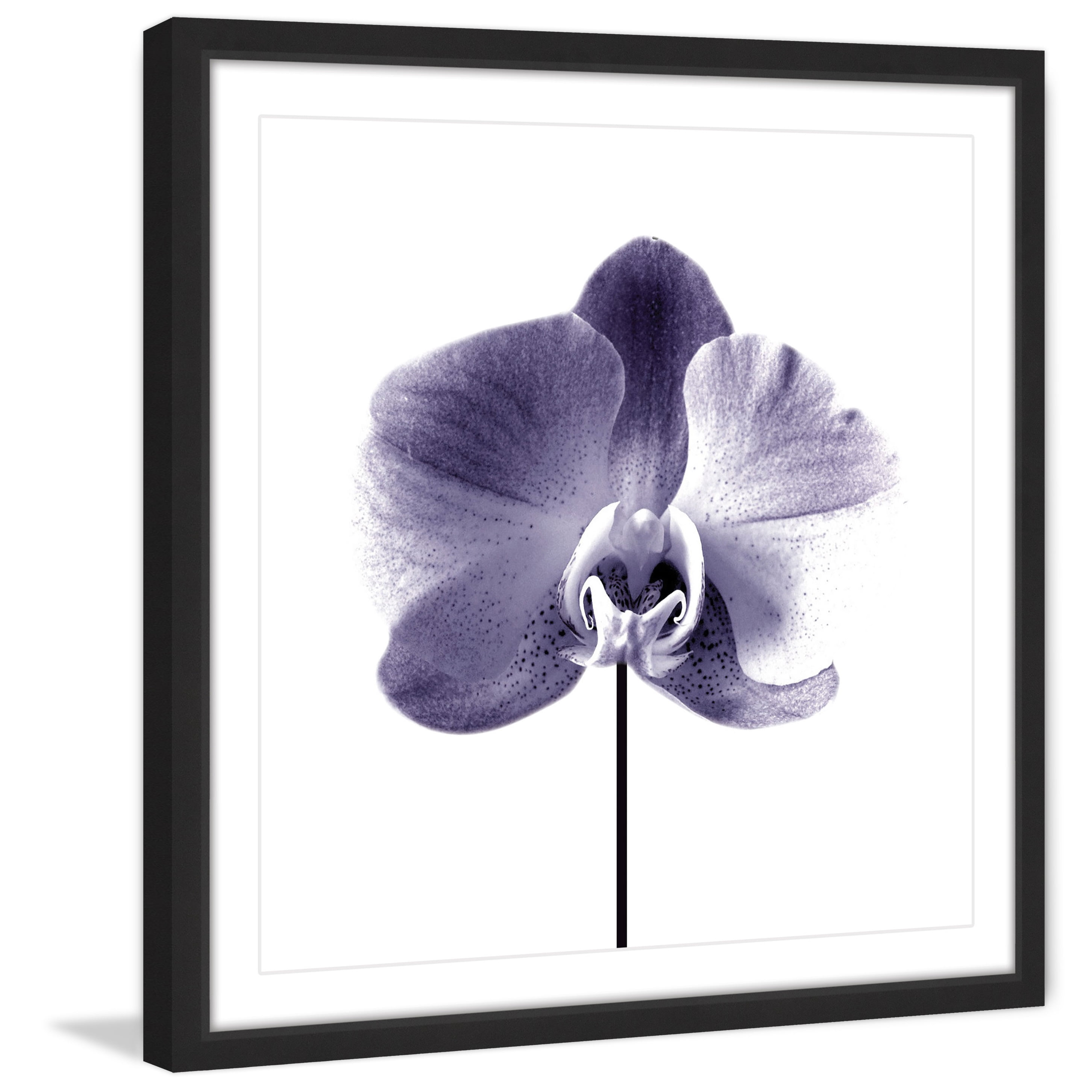 Marmont Hill "Smiling Iris" by Katarina Snygg Framed Painting Print