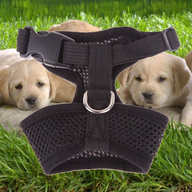 Arnés de malla suave para cachorros perros y gatos chaleco transpirable para caminar para mascotas acolchado negro M JShteea Libre de BPA