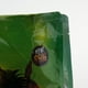 thumbnail image 4 of Sustrato para terrarios de tortugas gecko Accesorios gránulo grande, 4 of 9