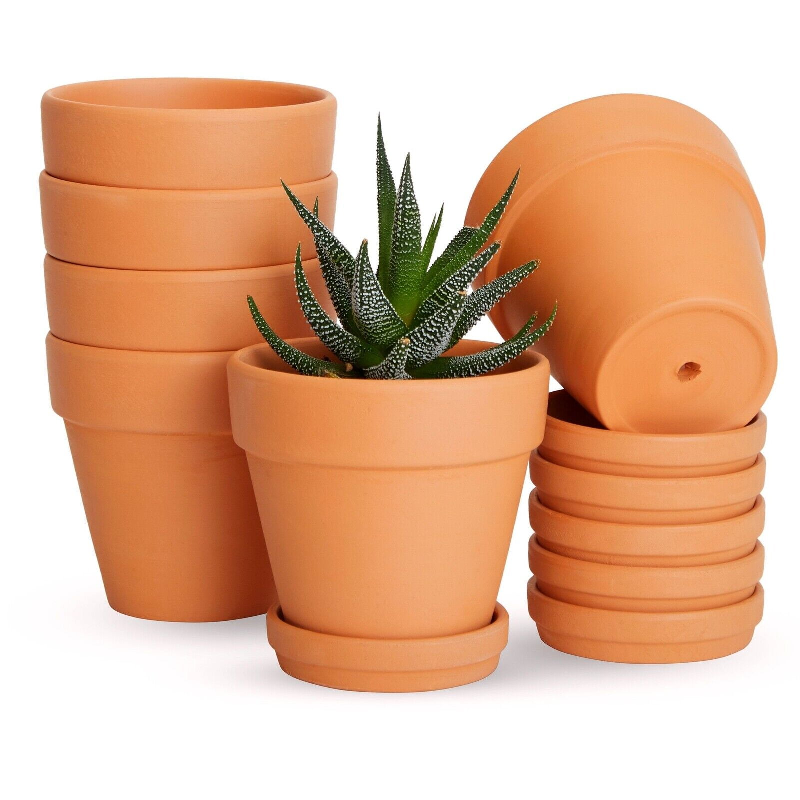 6 Pack Mini Terracotta Pots With Saucers, Clay Flower Planters, 4