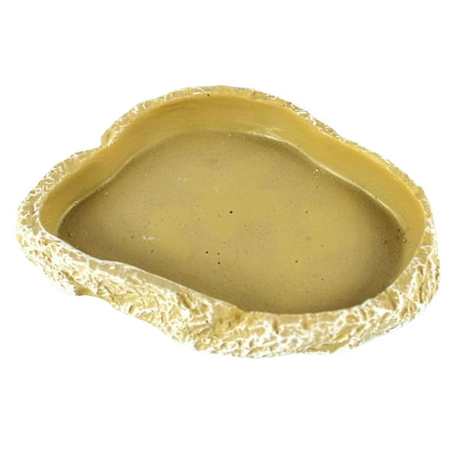 Cuenco De Comida Para Reptiles Anfibios, Plato De Agua Para Dragón Barbudo, Lagartos, Serpientes Sunnimix Comedero para reptiles