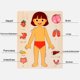 thumbnail image 5 of Puntoco Rompecabezas de madera para el cuerpo de niños y niñas, rompecabezas de anatomía, juguete de aprendizaje del cuerpo humano con órganos internos, juguete educativo temprano para niños y niñ, 5 of 5
