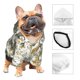 thumbnail image 3 of Balery Vintage Animals Palm Tree Sudadera con Capucha para Perros Pequeños – Ropa para Mascotas, Disfraz para Perros y Gatos, Ideal para Fiestas y Cosplay-X-Large, 3 of 7