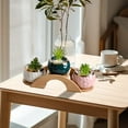 thumbnail image 4 of Home Small Flower Rack Ornament Succulent Window Table Balcony Living Room Office Flower Pot Rack Storage Decoration (Arch Bridge Shape) Household Small Flower Rack Ornament Succulent B, 4 of 6