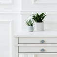 thumbnail image 4 of Set Of 6 Begonia Ceramic Flower Cabinet Knobs by Perilla Home, 4 of 7