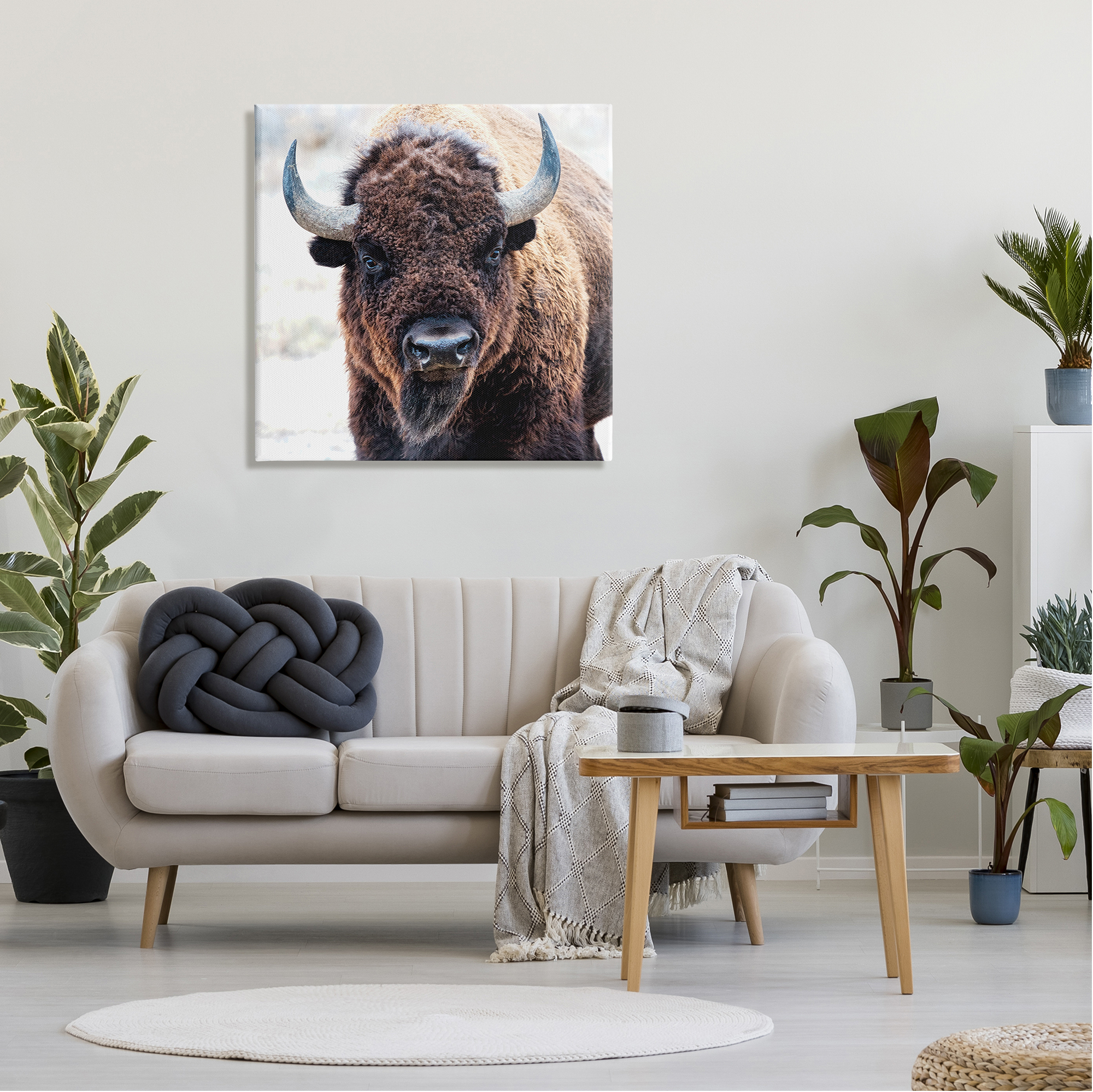 Stupell Industries American Bison Photography Animals & Insects Photography Gallery Wrapped Canvas Print Wall Art, 30 x 30