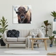 thumbnail image 2 of Stupell Industries American Bison Photography Animals & Insects Photography Gallery Wrapped Canvas Print Wall Art, 30 x 30, 2 of 7