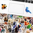 thumbnail image 3 of Jinsinto 50 Animal Stickers For Children, 5-7 Cm, Photo Animal Stickers, 3 of 5