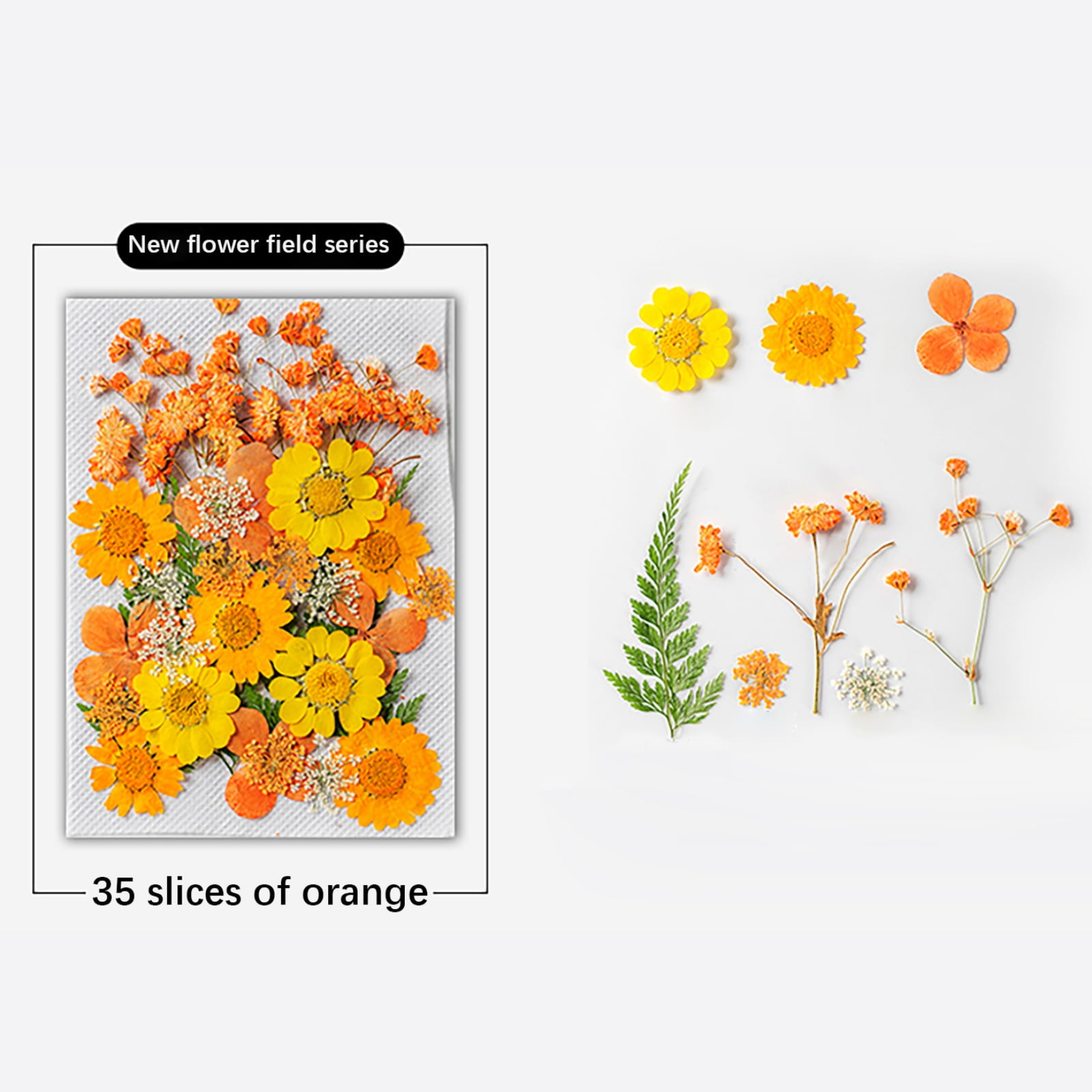 140Pcs Large Dried Pressed Flowers for Resin Molds, Real Dry Natural Flower Leaf for Crafts Scrapbooking, with Tweezers for Candle Making DIY Jewelry Crafts, Soap Making, Cake Decor, Glass Frame