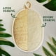 thumbnail image 2 of Esponja de Natural Exfoliante Corporal, Esponja de EcolóGica para Ducha, para Mujeres y Hombres (Paquete de 3), 2 of 5