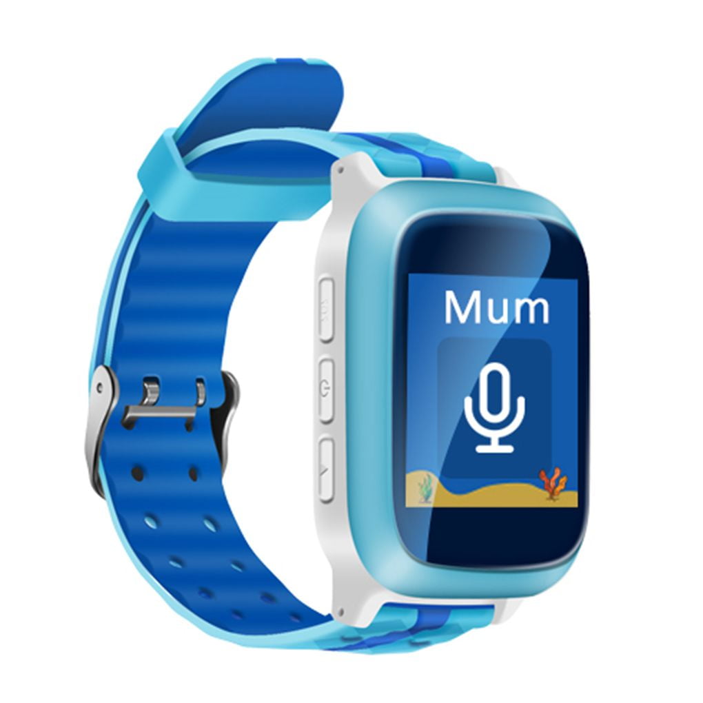 ds18 smartwatch