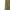 Army Green (pockets), variant on Besolor Womens Capris Pants Stretch Drawstring Casual Joggers Lightweight Workout Yoga Lounge Pants with Pockets