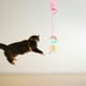 thumbnail image 5 of Colgante Gato Zulema Juguete Bouncy Dangler flexible Interior Rosa con campana gato jugar, 5 of 8