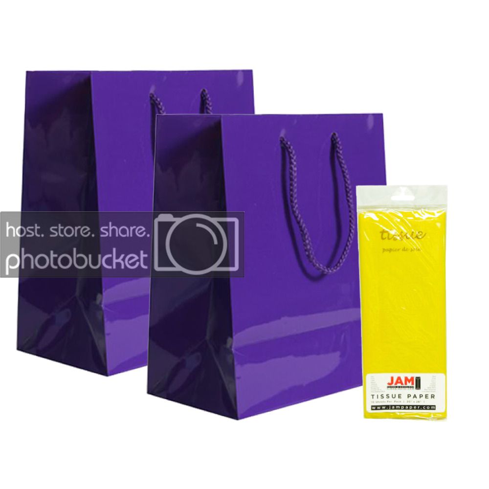 JAM Gift Bag Assortment, 2 Purple Bags & Yellow Tissue Paper, 3/Pack
