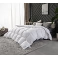 thumbnail image 4 of Royal Elite All Season Hutterite White Goose down Duvet, 4 of 5