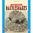thumbnail image 3 of Buzzing Rattlesnakes, 3 of 3
