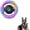 Purple, variant on Heavy Duty Dog Chew Toy, Steering Wheel Squeaky Toy for Large Dogs, Blue or Purple