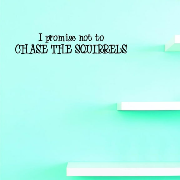 Custom Decals I Promise Not To Chase The Squirrels This Time Wall Art Size: 12 X 30 Inches Color: Black