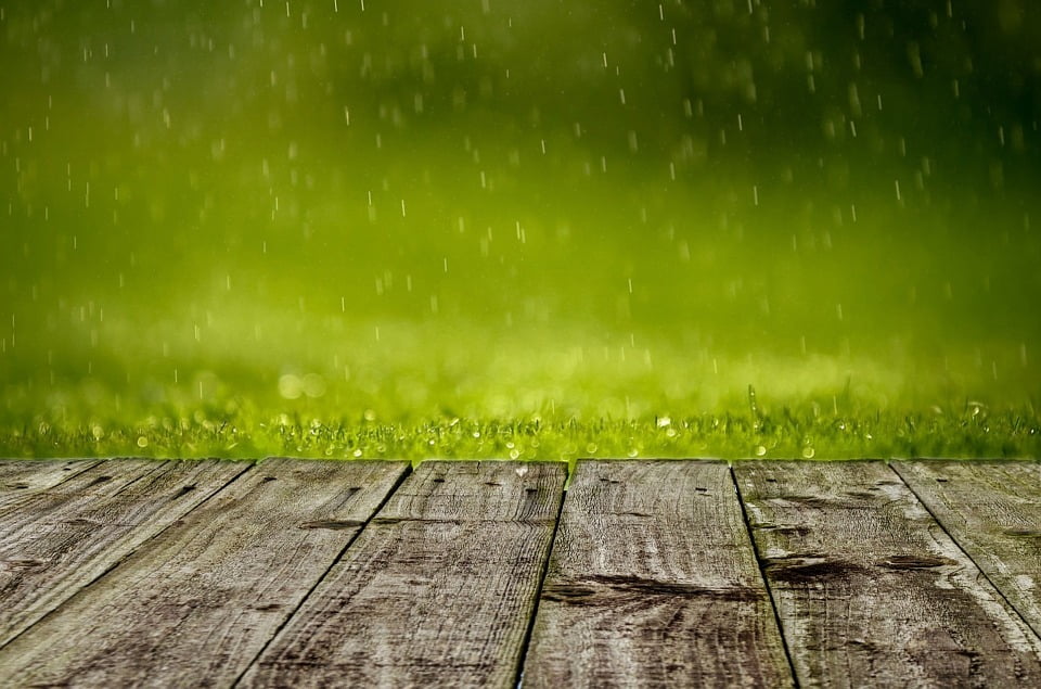 zoom background images spring zoom background images spring