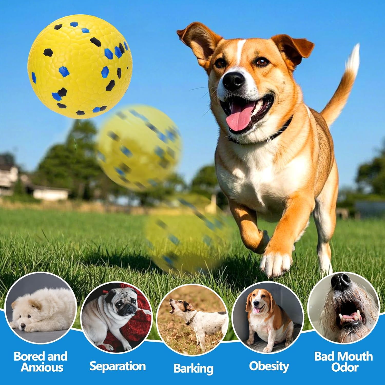 4PCS Floating Dog Toys –E-TPU Water Pool Fetching Toy for Small Medium Large Pet, Ball Shape Indestructible Interactive Dog Chew Toys for Summer Outdoor Training Fun