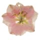thumbnail image 2 of DIY Colgante Pendiente de Resina de con Agujero Joyería de Fabricación perfecl Colgante de la flor, 2 of 8