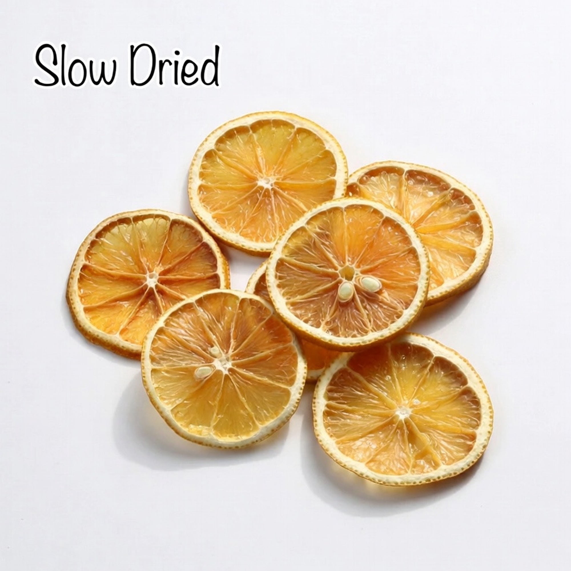 Dried Lemon Slices Dehydrated Crispy Yellow Lemon No Sugar Added Single Ingredient Made in USA