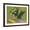 Brown Frame, variant on Art.com Oleanders Art Print by Vincent van Gogh, White Frame Wall Art, 29" x 23"