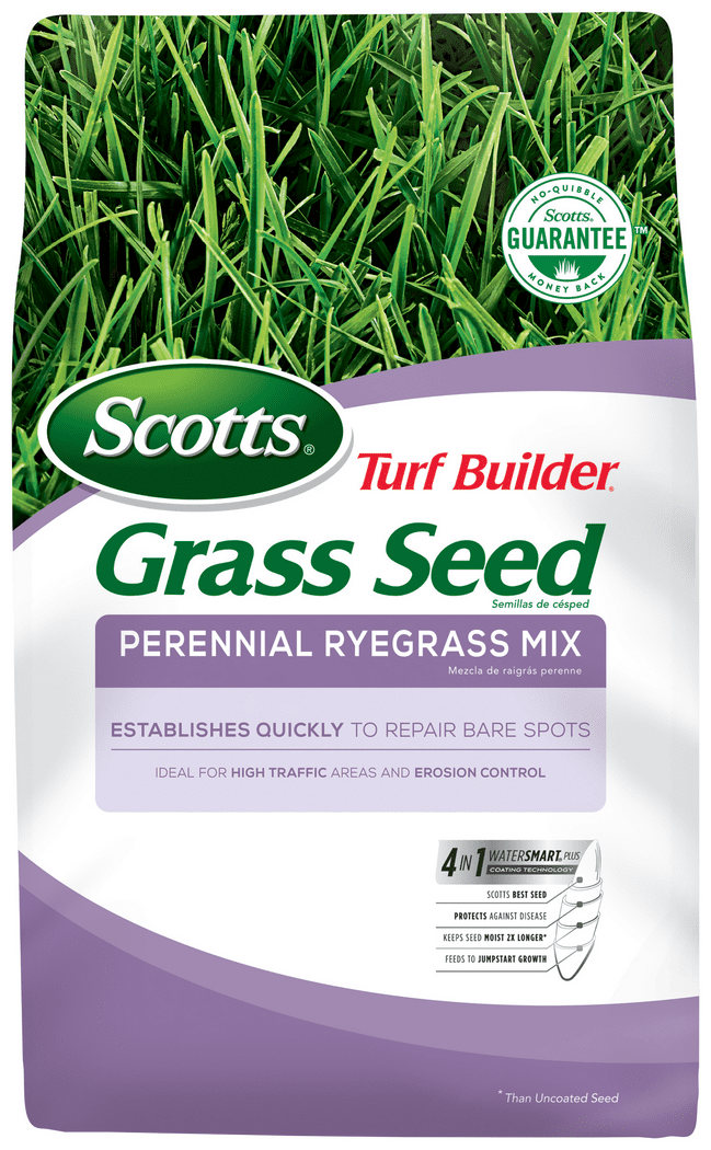 Scotts Turf Builder Grass Seed Perennial Ryegrass Mix, 3 lbs.