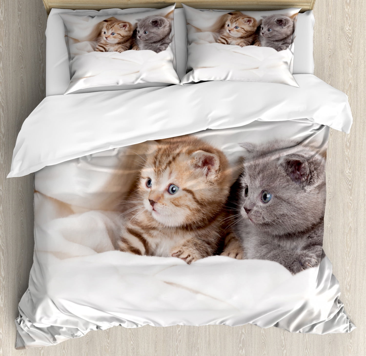 Animal Duvet Cover Set Two Little Scottish Fold Kittens On The