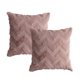 thumbnail image 1 of Paquete de 2 fundas de almohada decorativas de terciopelo de lana corta de felpa suave, funda de cojín estilo felpa para sofá, 18x18 pulgadas, 1 of 5