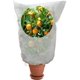 thumbnail image 5 of Fundas de invierno para plantas, funda de invierno, funda protectora de plantas no tejida, protección contra heladas para plantas en macetas y verduras, 80 x 100 cm, 5 of 5