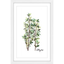 "Herb Thyme" Framed Painting Print