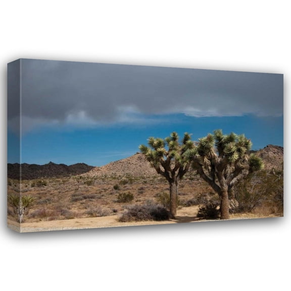 Erin Berzel 18x13 Gallery Wrapped Canvas Wall Art Titled - Joshua Tree IV